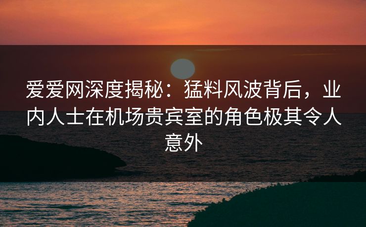 爱爱网深度揭秘：猛料风波背后，业内人士在机场贵宾室的角色极其令人意外