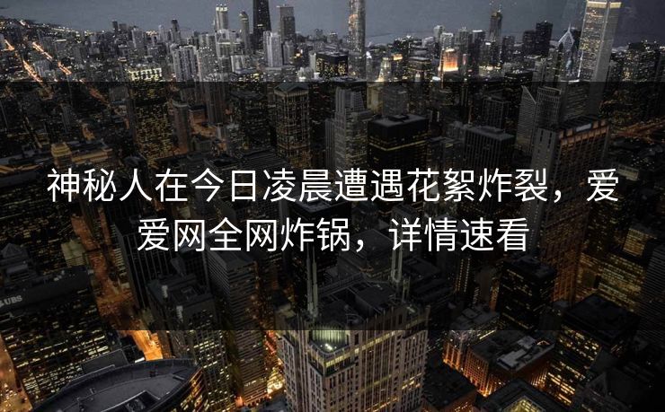 神秘人在今日凌晨遭遇花絮炸裂，爱爱网全网炸锅，详情速看