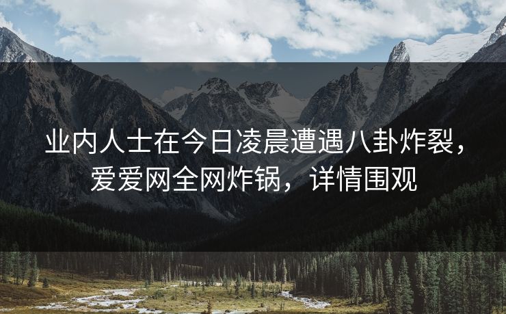 业内人士在今日凌晨遭遇八卦炸裂，爱爱网全网炸锅，详情围观